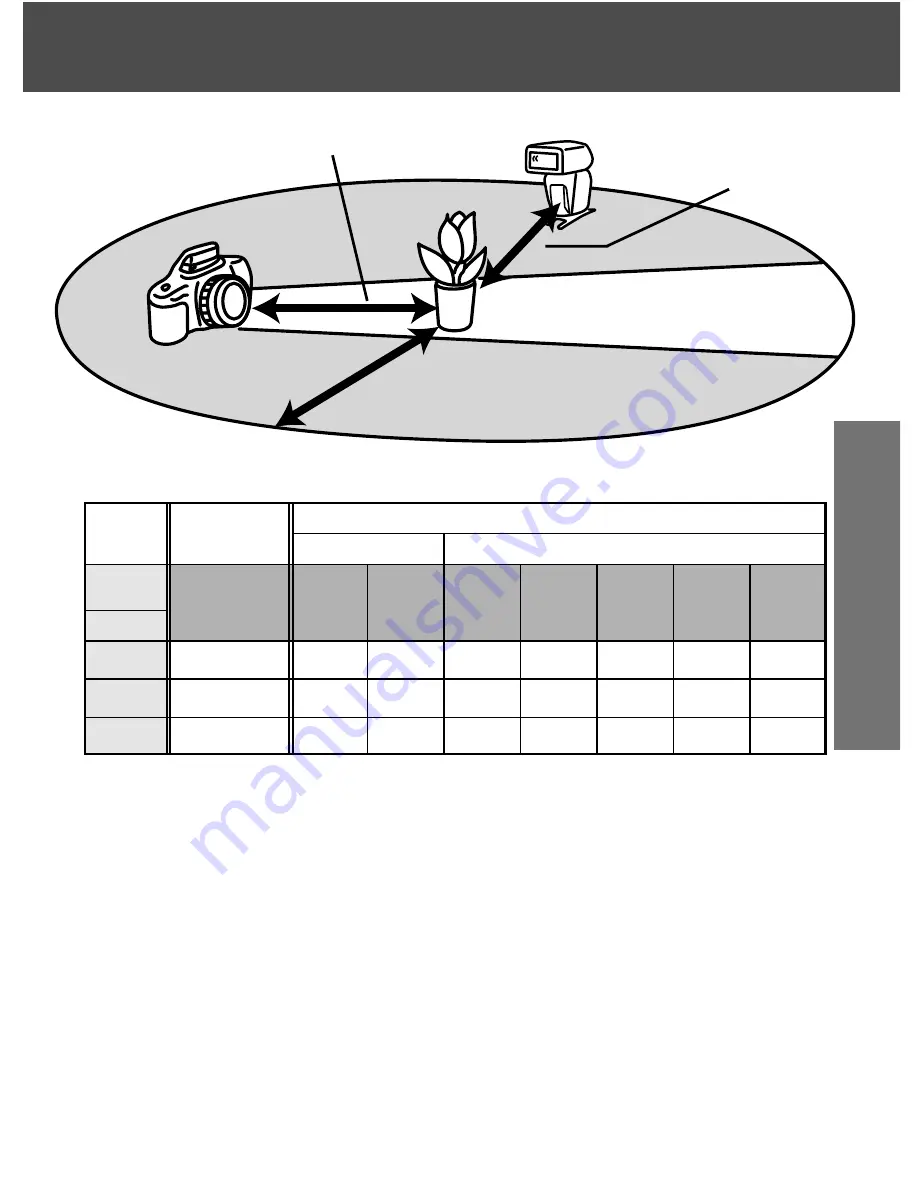 Konica Minolta MAXXUM FLASH 5600HS (D) Instruction Manual Download Page 43