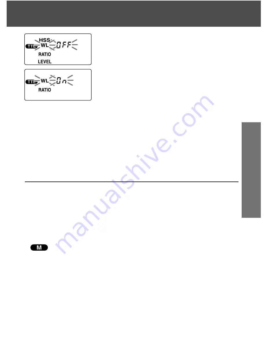 Konica Minolta MAXXUM FLASH 5600HS (D) Instruction Manual Download Page 53