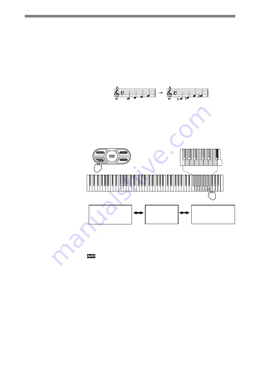 Korg Concert NC-300 BR Скачать руководство пользователя страница 23