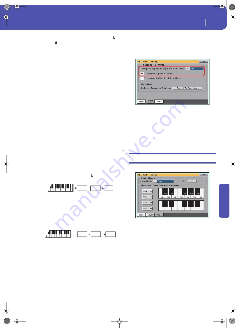 Korg Pa3XLe User Manual Download Page 267