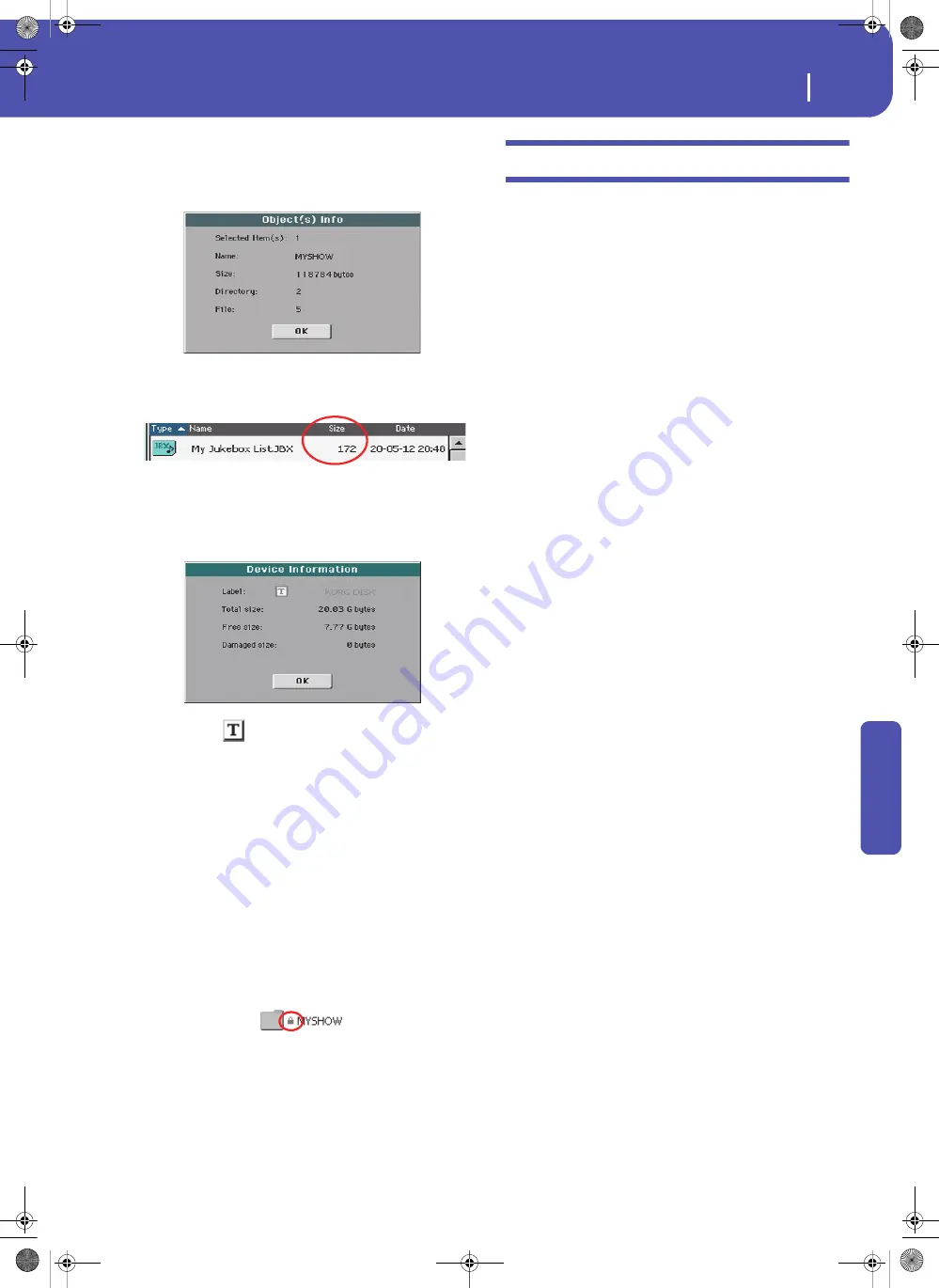 Korg Pa3XLe User Manual Download Page 303