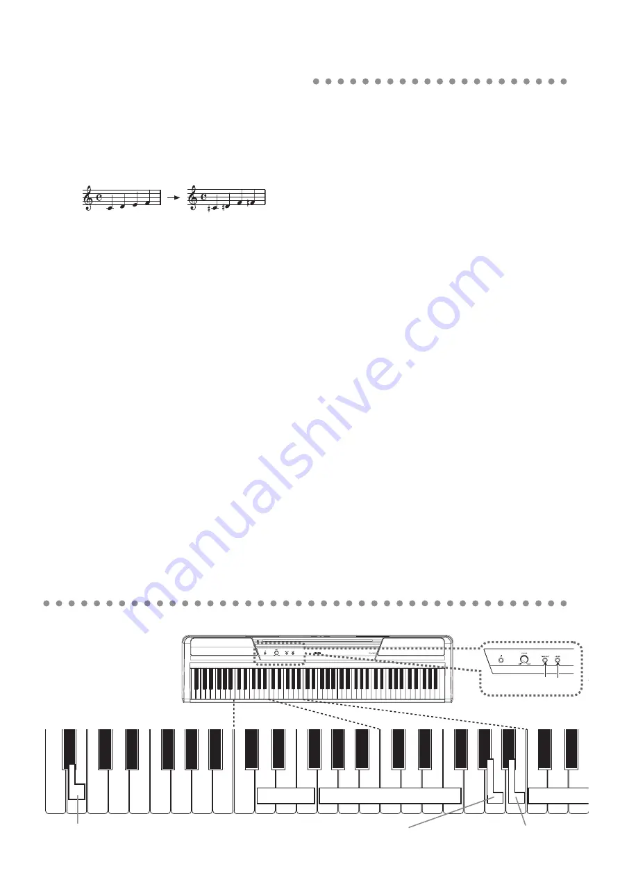 Korg SP-170DX Owner'S Manual Download Page 12