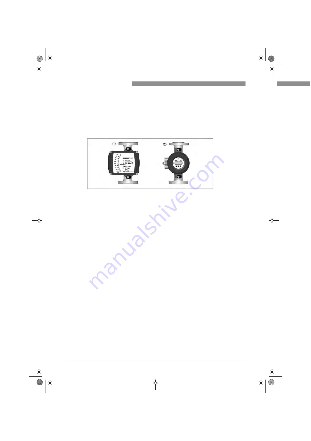 KROHNE H250/C Handbook Download Page 10