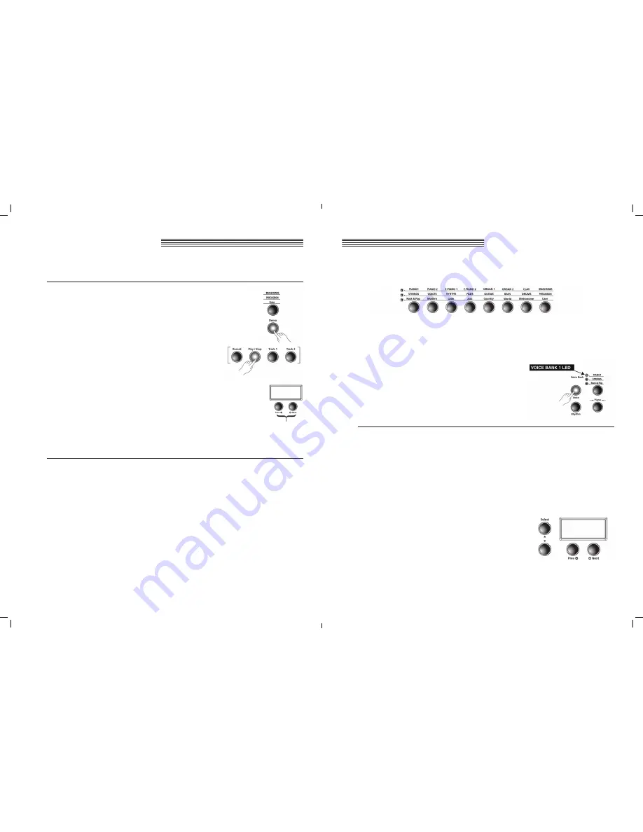 Kurzweil Andante CGP 220 Скачать руководство пользователя страница 10