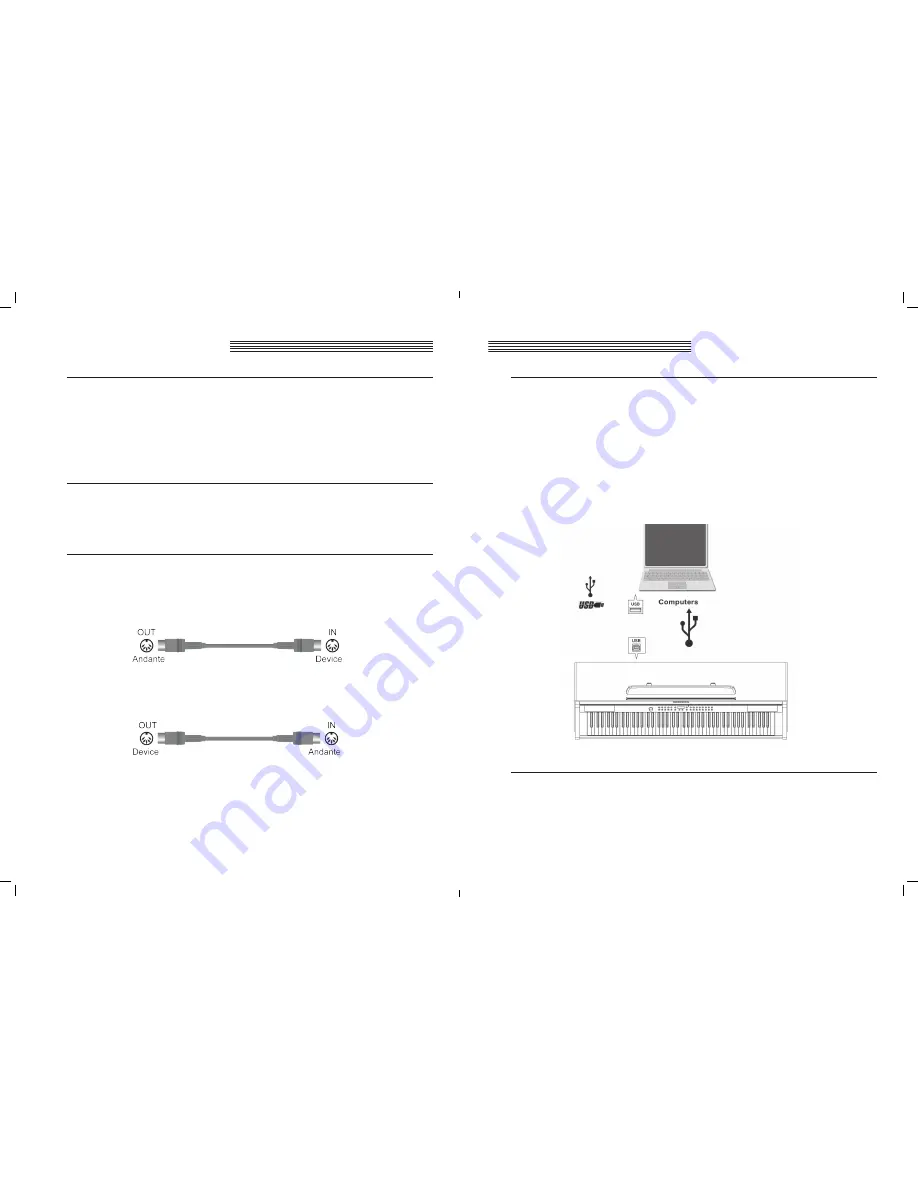 Kurzweil Andante CGP 220 Скачать руководство пользователя страница 20