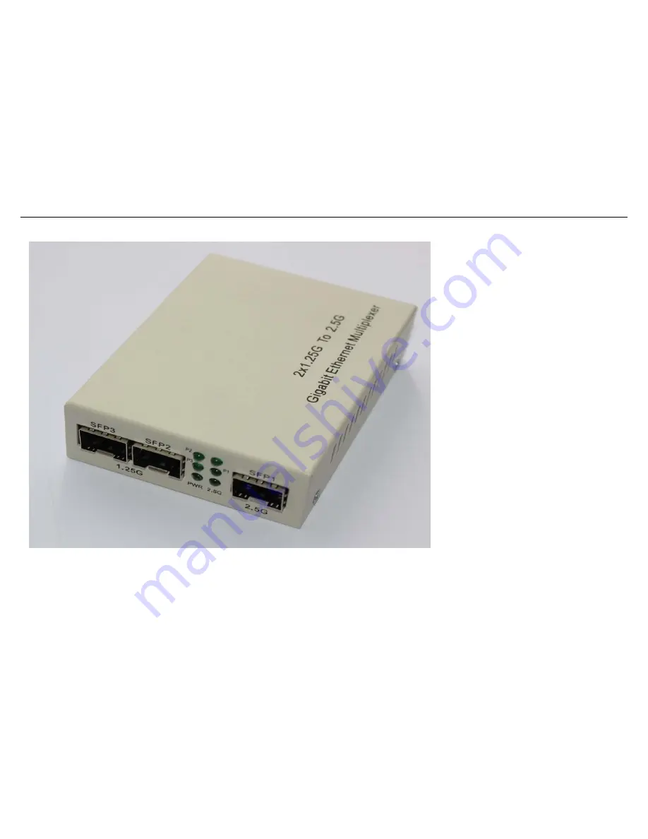 Kyopto Gigabit Ethernet Multiplexer User Manual Download Page 2