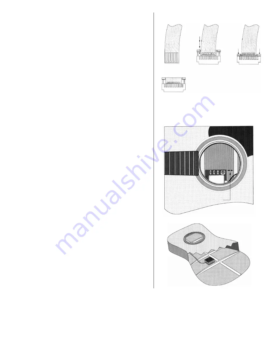 L.R. Baggs Dual Source Installation Manual & Users Manual Download Page 2