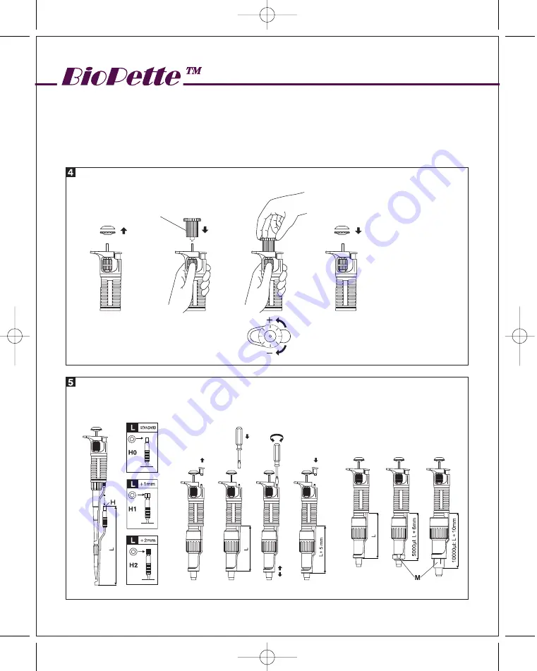 Labnet BioPette 5A Скачать руководство пользователя страница 3