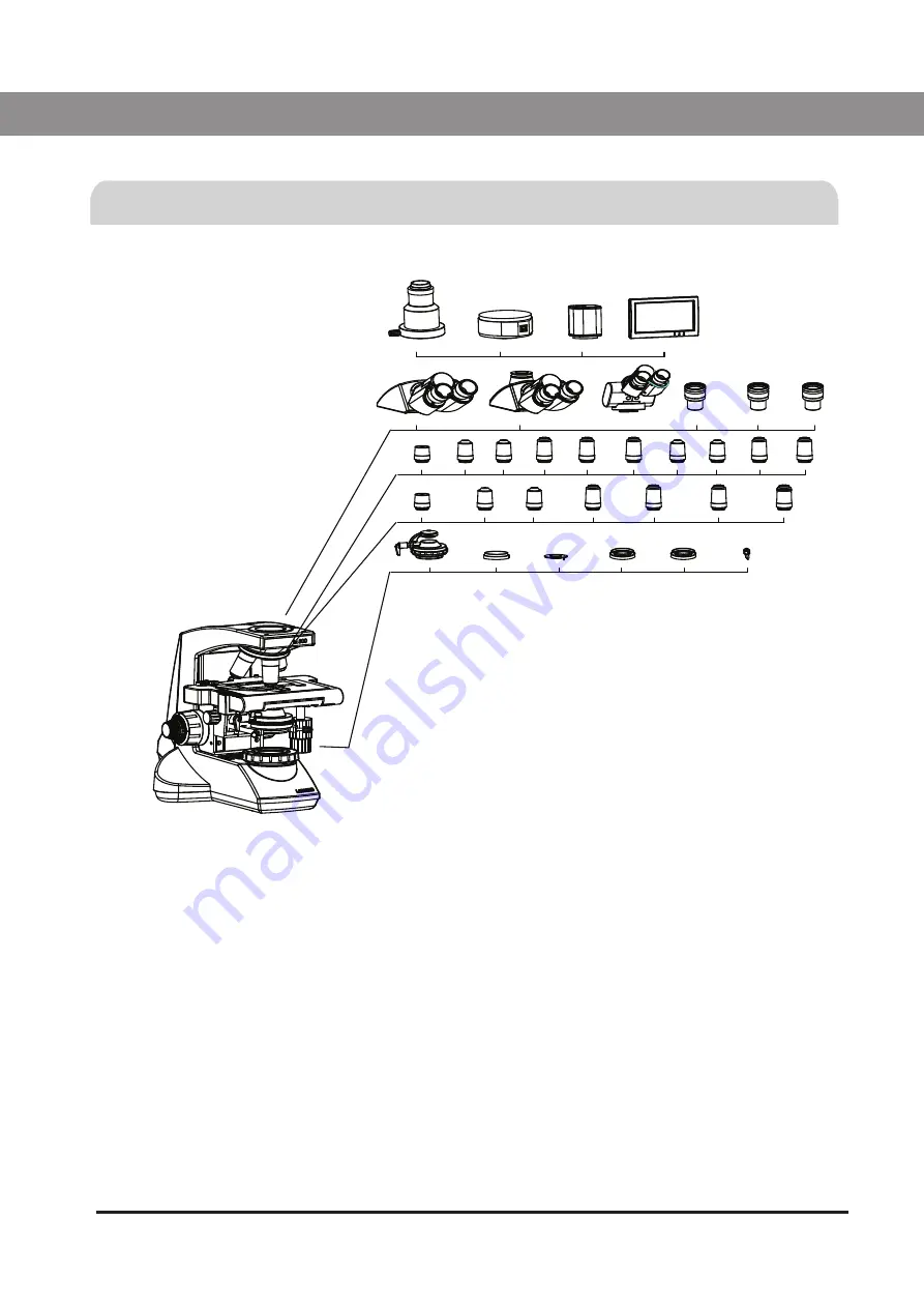 Labomed Lx 500 User Manual Download Page 11