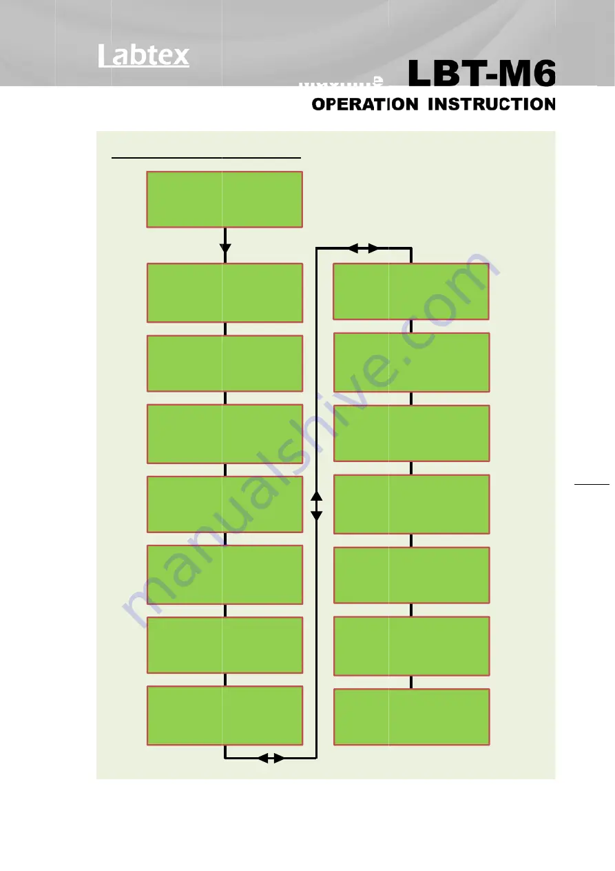 Labtex LBT-M6 Operation Instruction Manual Download Page 10