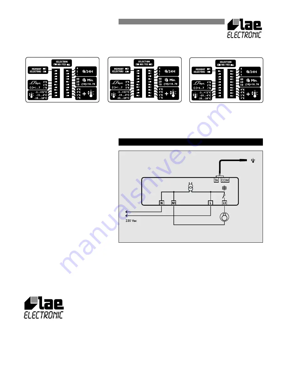 LAE electronic BIT20C11 Скачать руководство пользователя страница 2