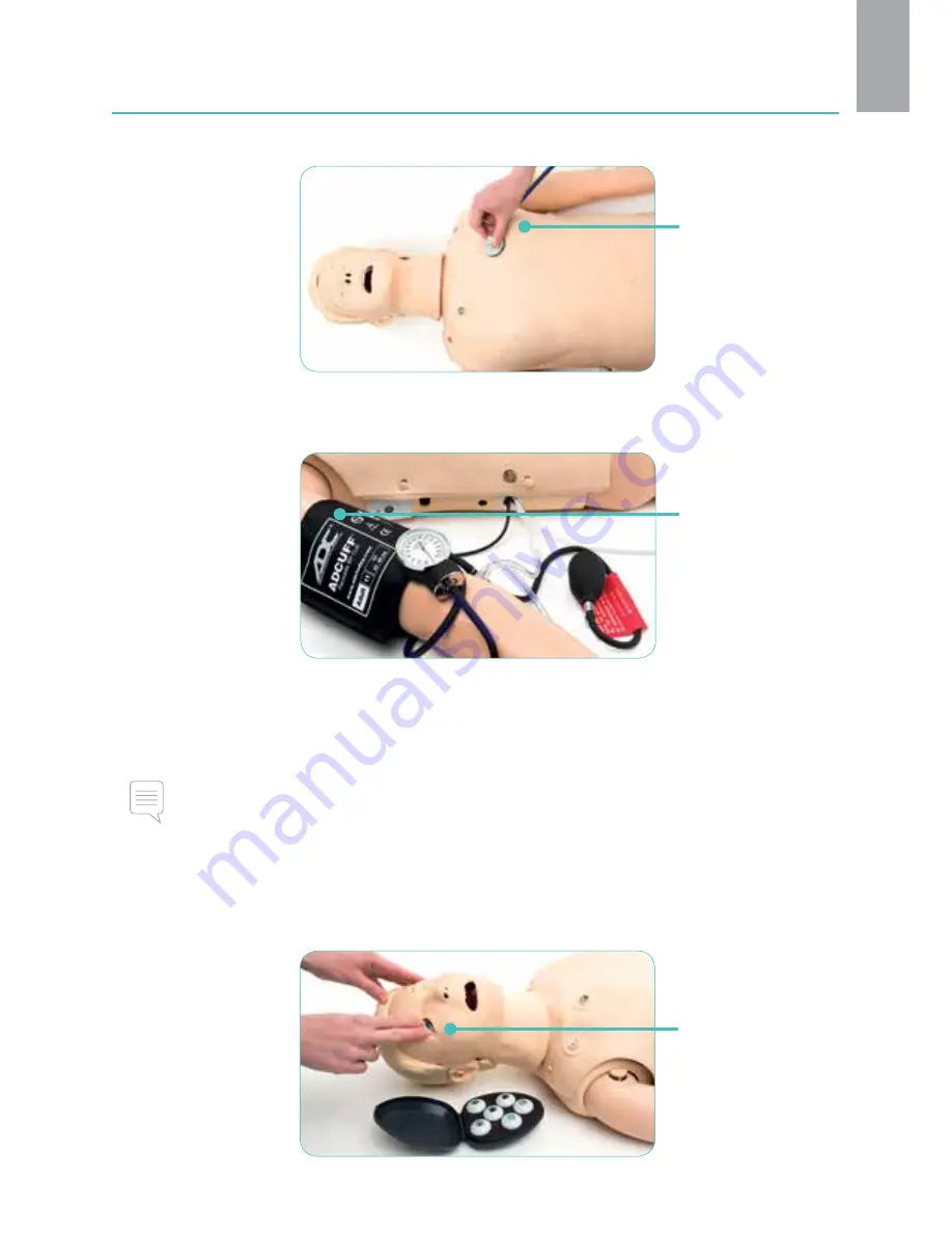 laerdal Resusci AnneSimulator Manual Download Page 13