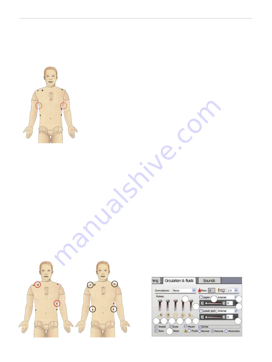 laerdal SimMan 3G Trauma Скачать руководство пользователя страница 46