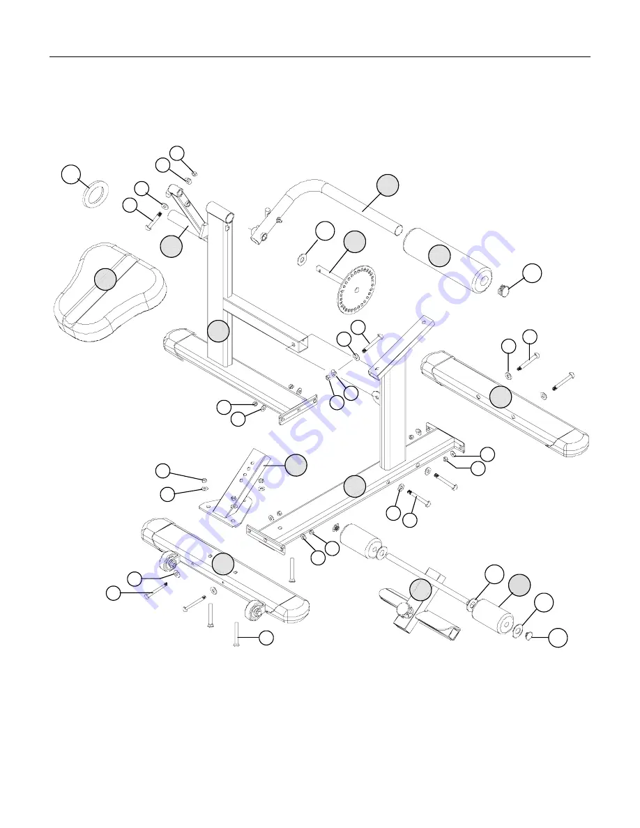 LAMAR Rotary Abdominal Back LS 526 Скачать руководство пользователя страница 5