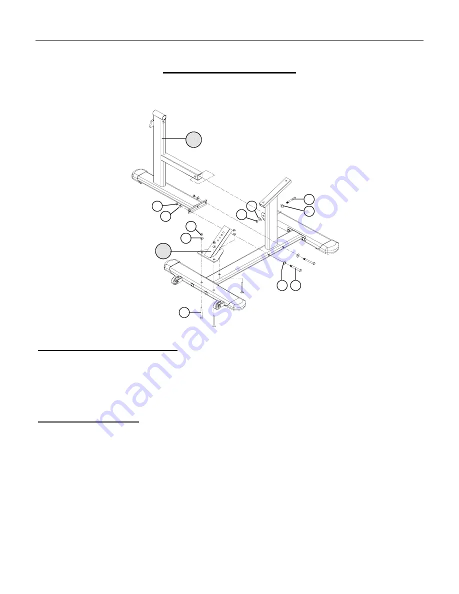 LAMAR Rotary Abdominal Back LS 526 Assembly And Owner'S Manual Download Page 8