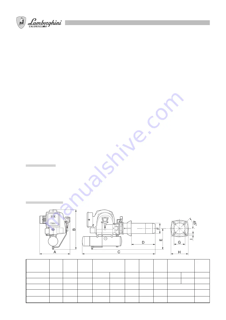 Lamborghini Caloreclima PNZ 100 Assembly, Use, Maintenance Manual Download Page 6