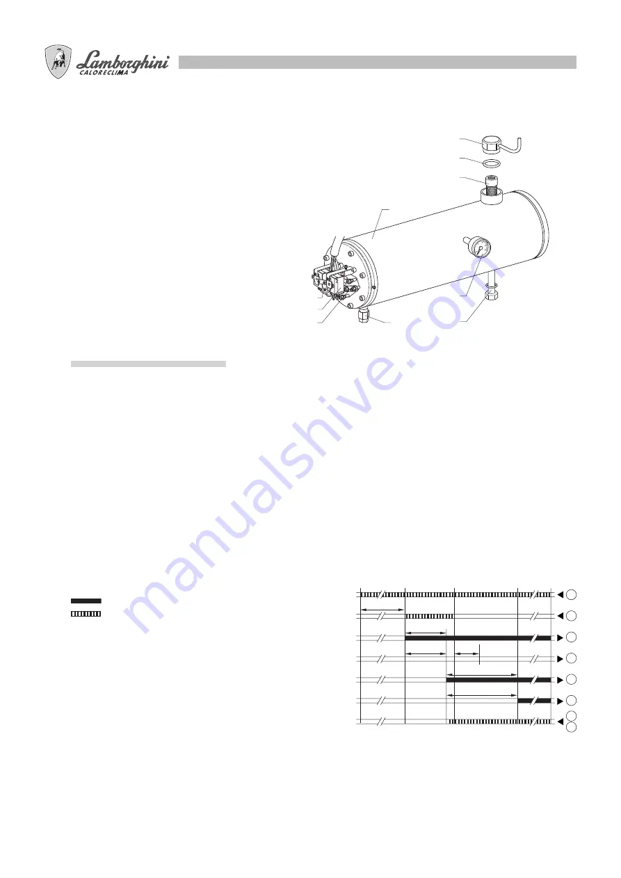 Lamborghini Caloreclima PNZ 100 Assembly, Use, Maintenance Manual Download Page 14