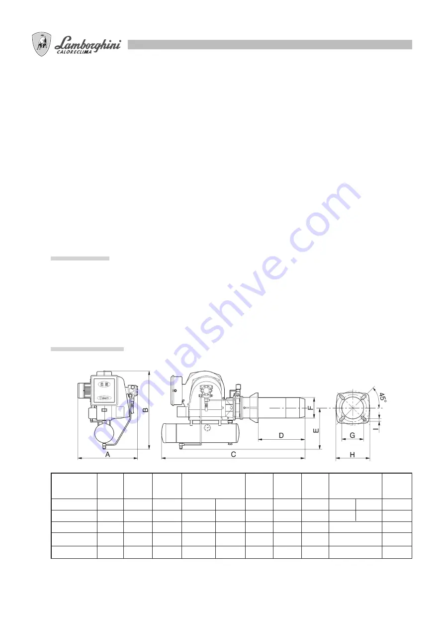 Lamborghini Caloreclima PNZ 100 Assembly, Use, Maintenance Manual Download Page 24