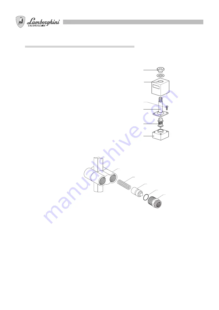 Lamborghini Caloreclima PNZ 100 Assembly, Use, Maintenance Manual Download Page 52