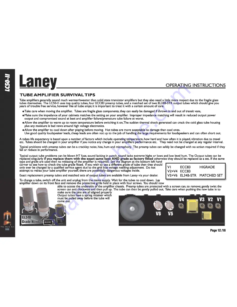 Laney LC50-II Operating Instructions Manual Download Page 12