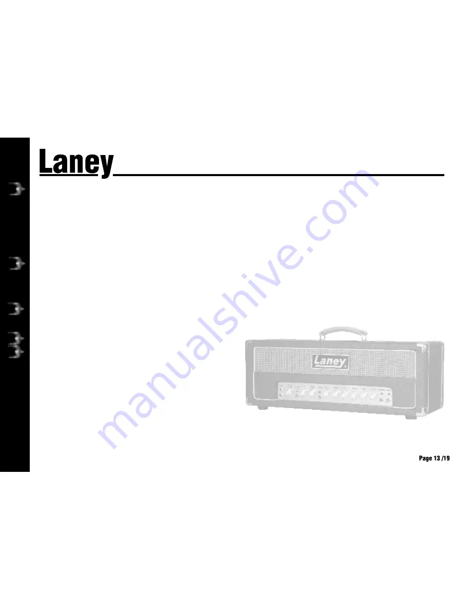 Laney LION HEART L50H Скачать руководство пользователя страница 13