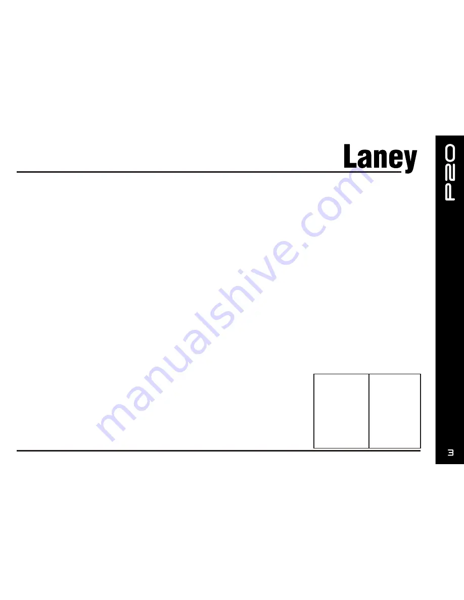 Laney Prism P20 Operating Instructions Manual Download Page 3