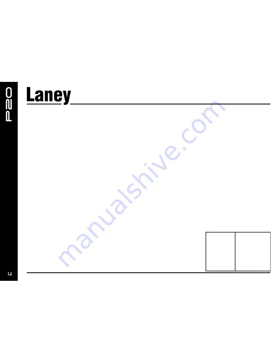 Laney Prism P20 Скачать руководство пользователя страница 4