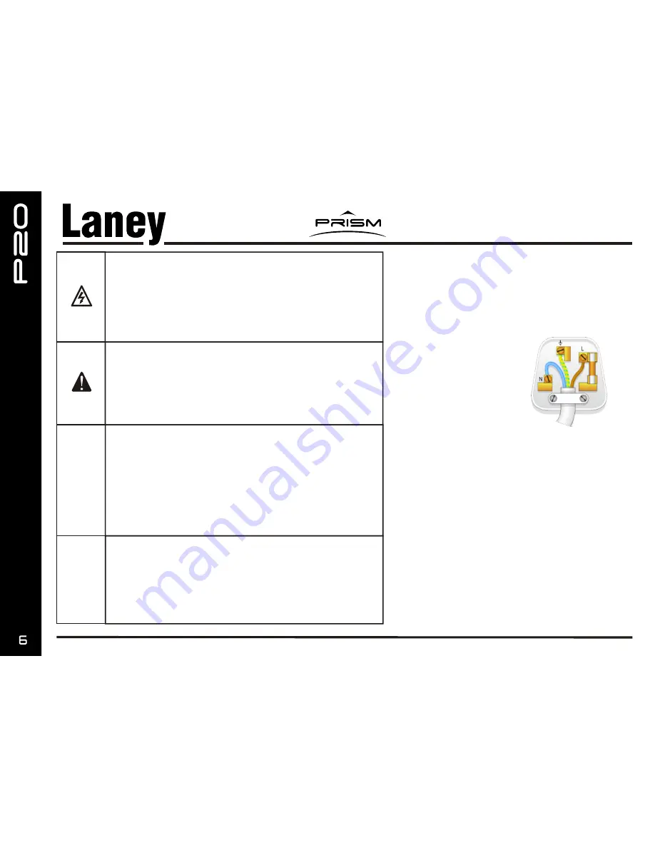 Laney Prism P20 Скачать руководство пользователя страница 6