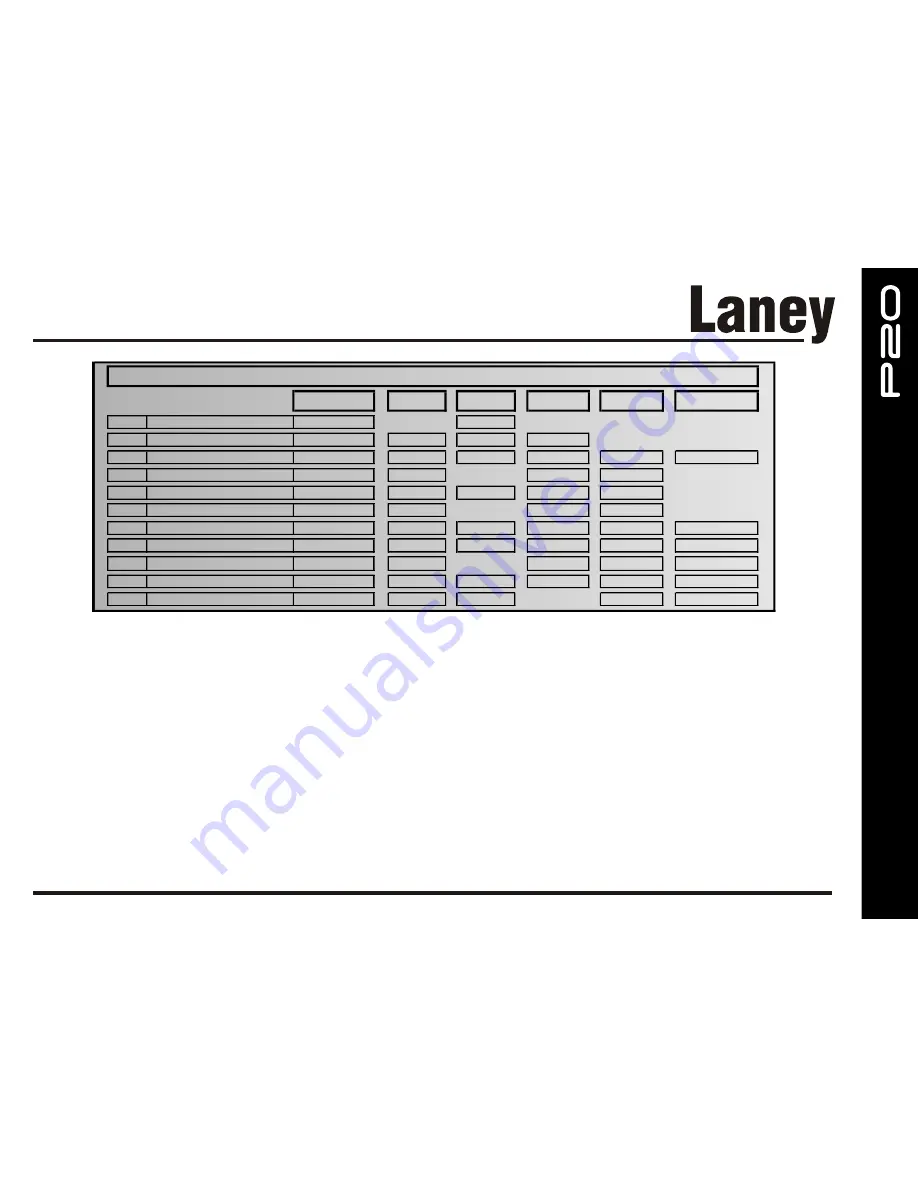 Laney Prism P20 Скачать руководство пользователя страница 25