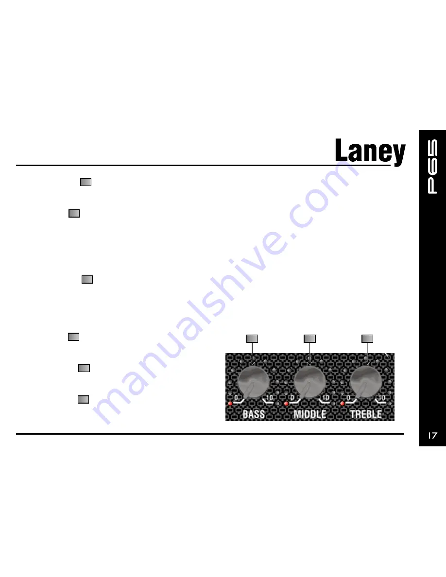 Laney Prism P35 Скачать руководство пользователя страница 17