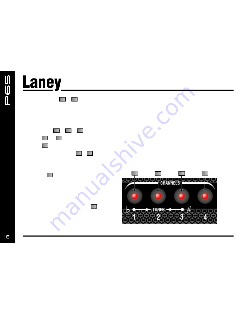 Laney Prism P65 Скачать руководство пользователя страница 18