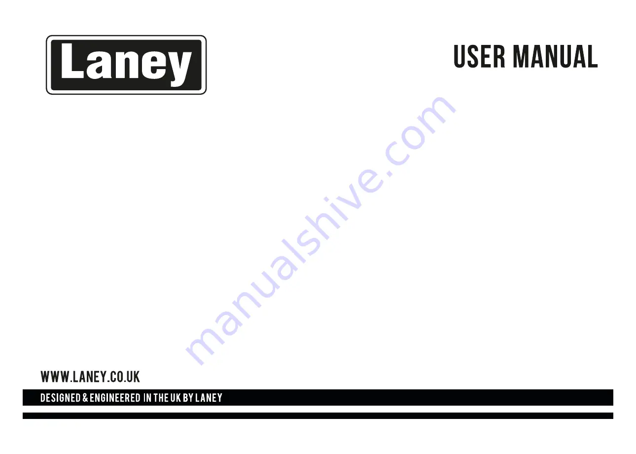 Laney Richter Bass RB2 User Manual Download Page 19