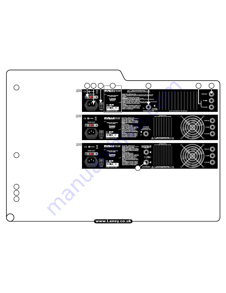 Laney Richter Bass RB4 Скачать руководство пользователя страница 12