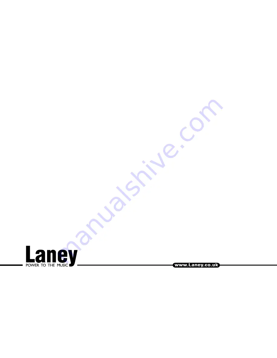 Laney Richter Bass RB4 Instructions Manual Download Page 16