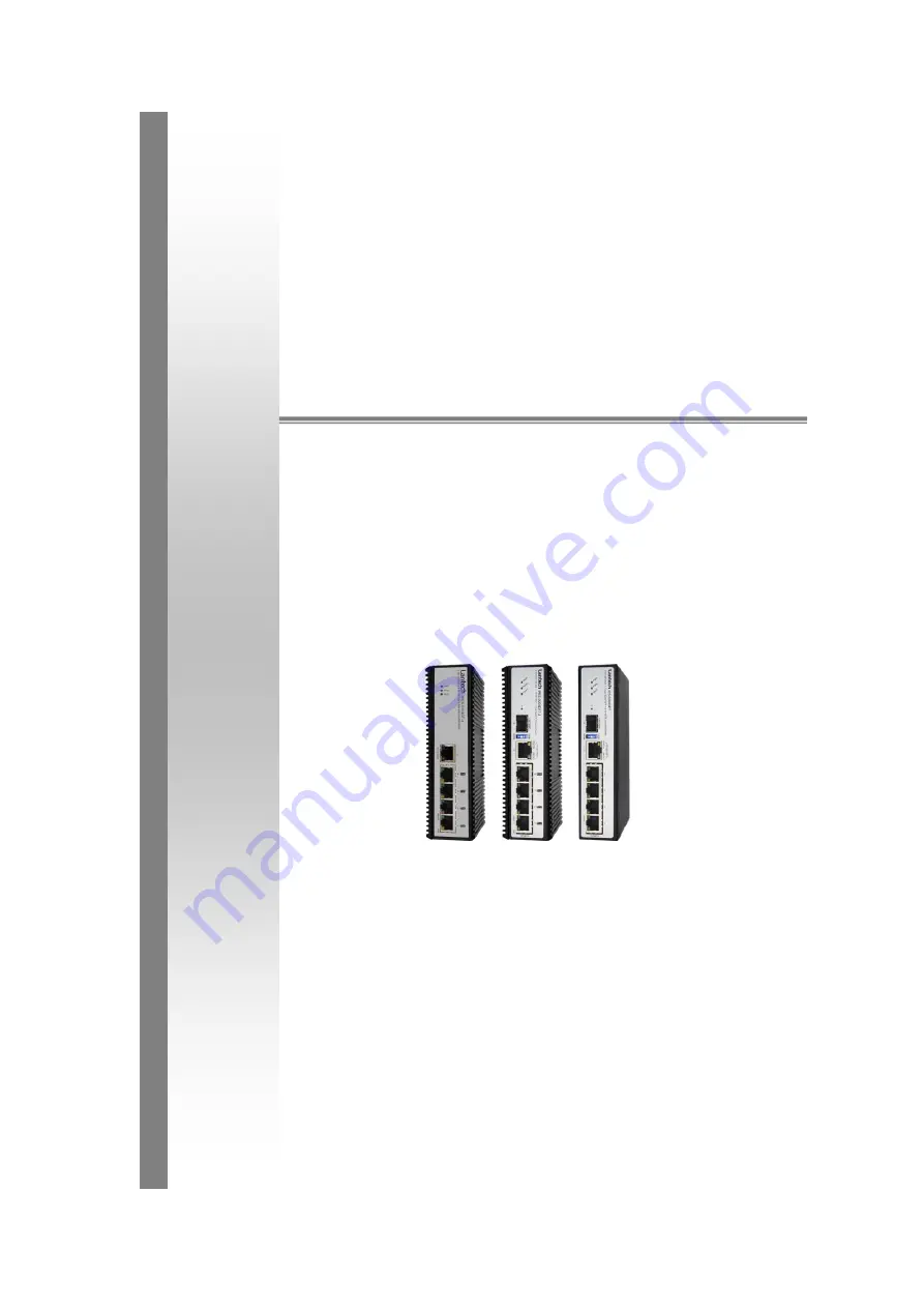 Lantech IES-0204DFT User Manual Download Page 1