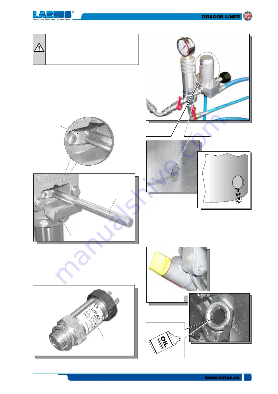 Larius Dragon Liner Operating And Maintenance Instruction Manual Download Page 23