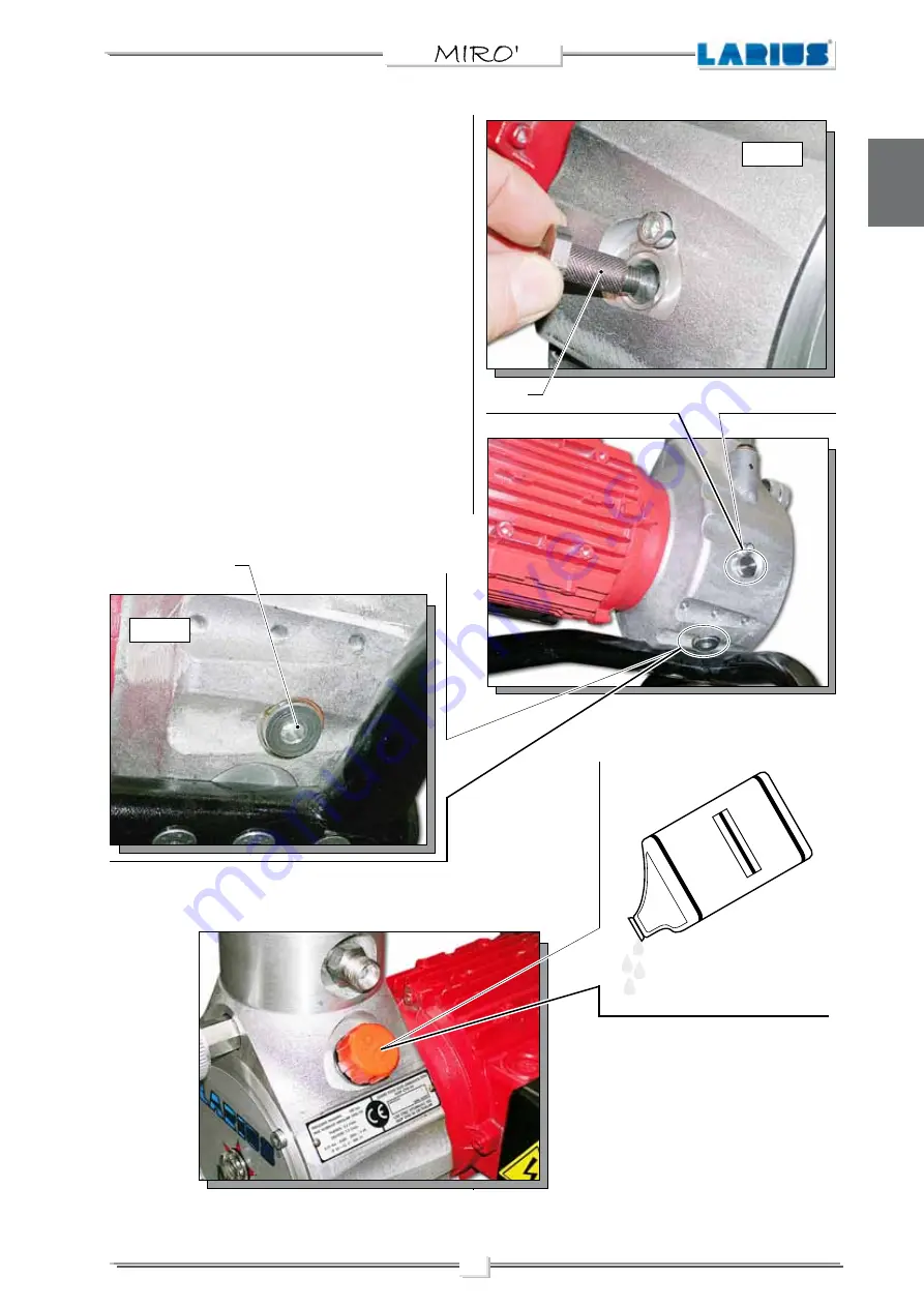 Larius MIRO Series Operating And Maintenance Instruction Manual Download Page 19