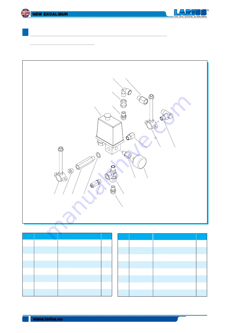 Larius New Excalibur Operating And Maintenance Instruction Manual Download Page 48