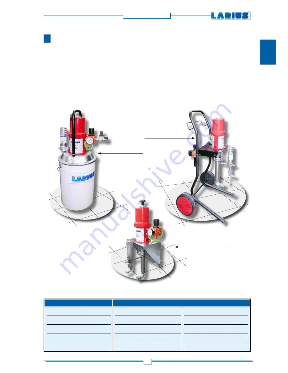 Larius VEGA 23:1 Operating And Maintenance Instruction Manual Download Page 5