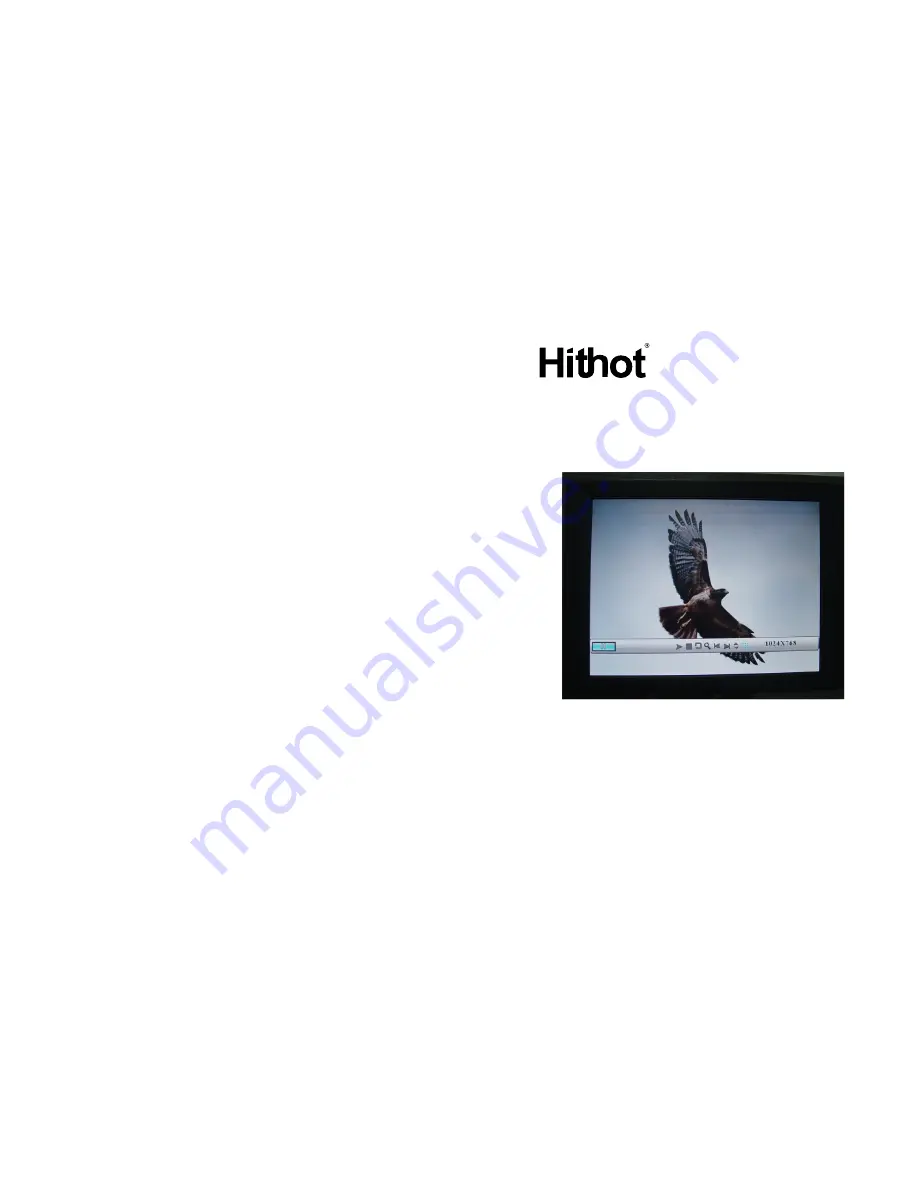 Laser Hithot AO-DPF10 User Manual Download Page 1