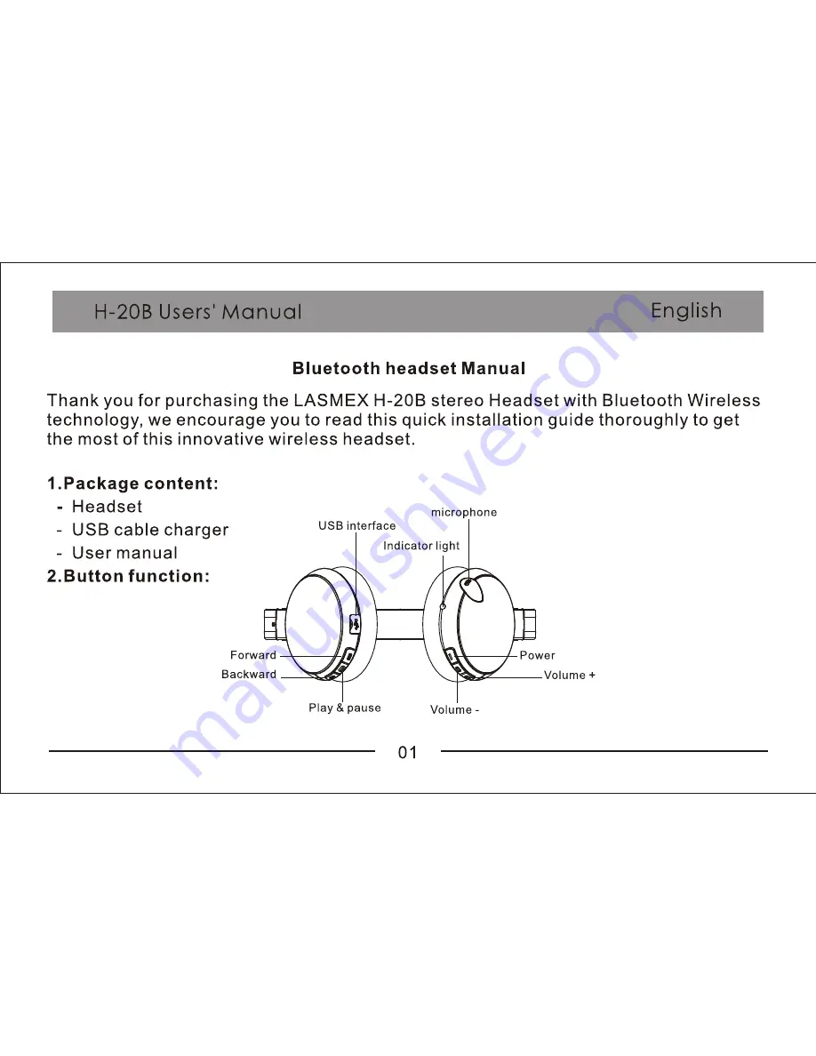 lasmex H-20B User Manual Download Page 2