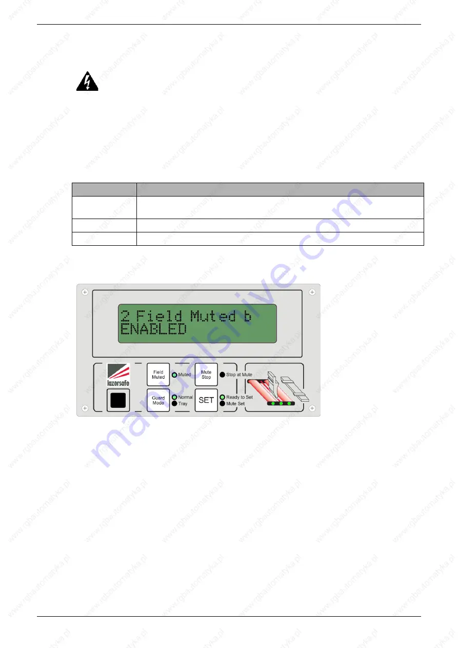 Lazer Safe LZS-003-HS Operation Manual Download Page 41