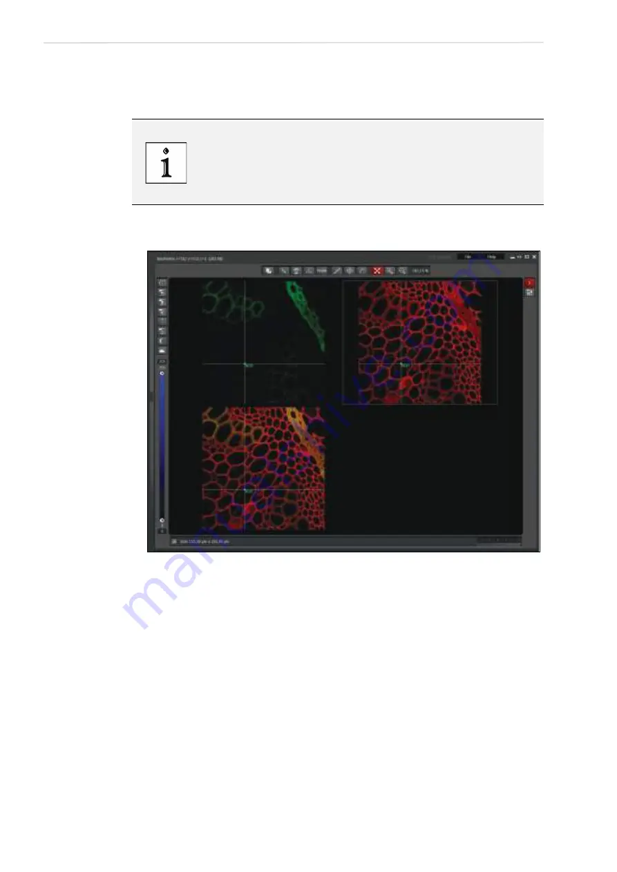 Leica TCS SP8 SMD User Manual Download Page 198