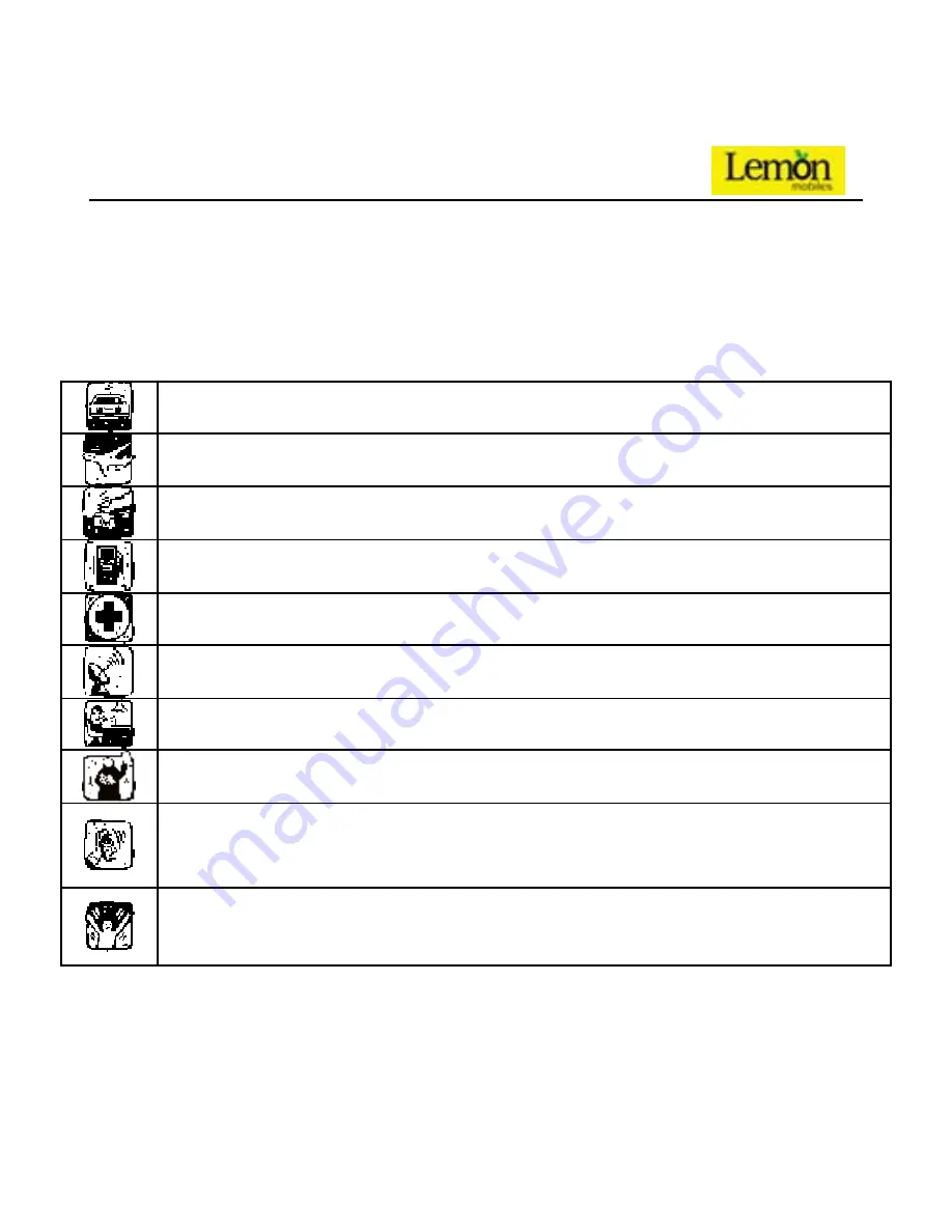 Lemon Duo 302 User Manual Download Page 3