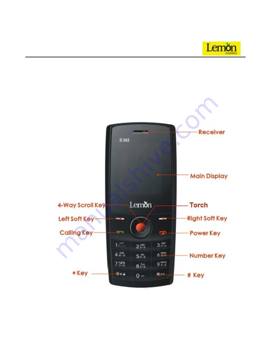 Lemon Duo 302 User Manual Download Page 8