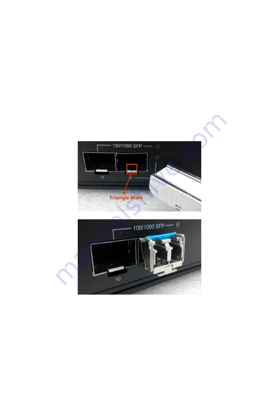 Leonton PG2-1202-SFP Series User Manual Download Page 11