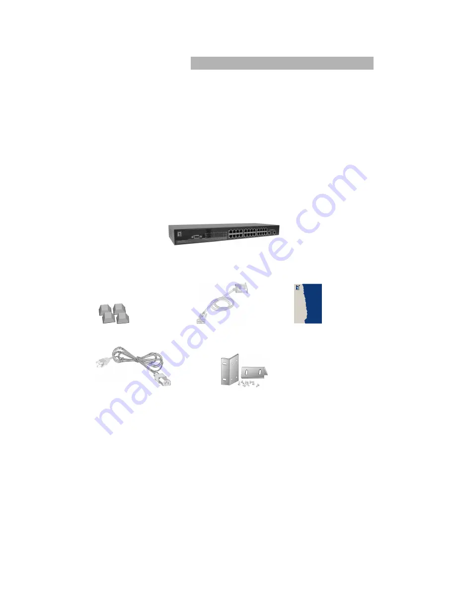 LevelOne GSW-2470TGX User Manual Download Page 4