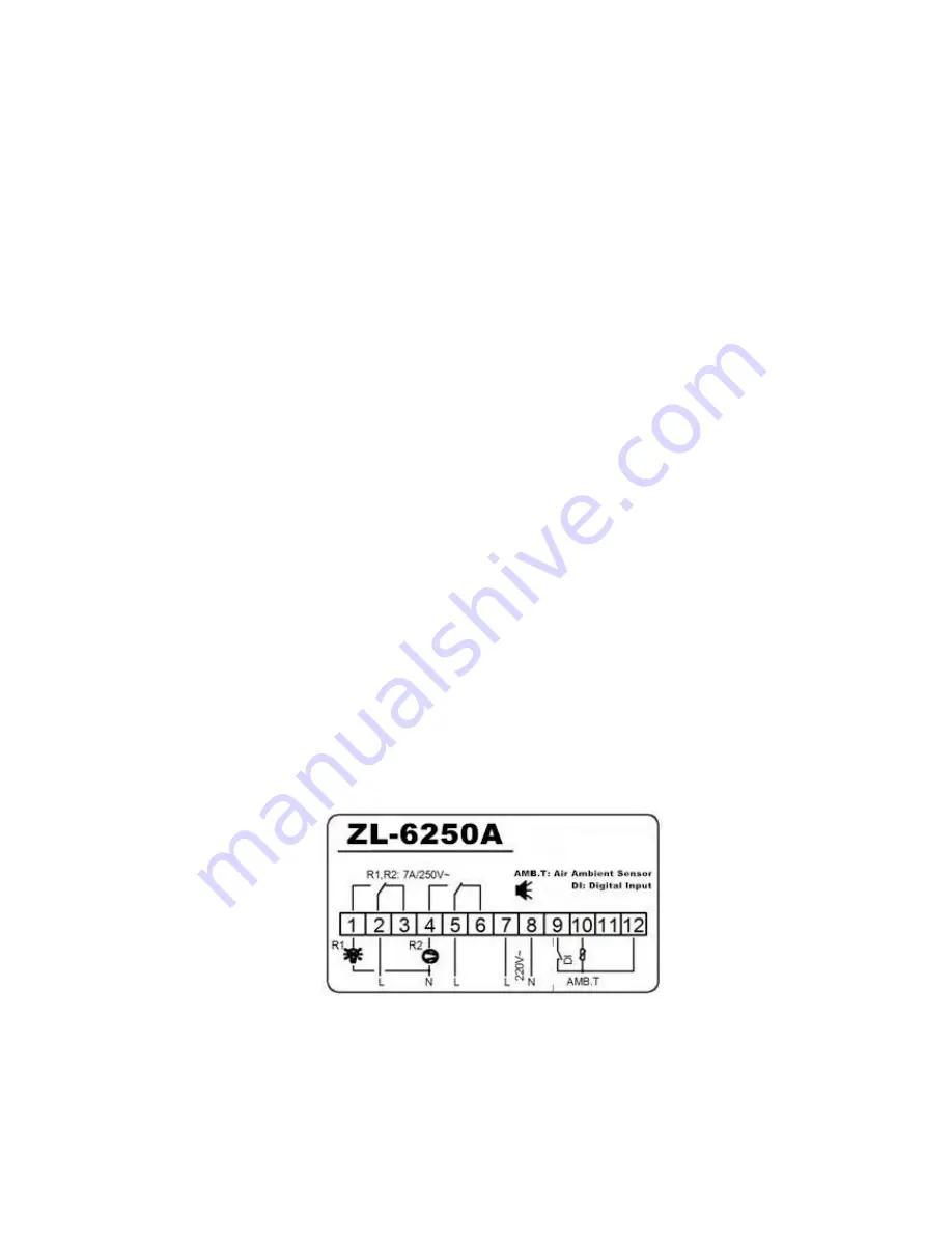 Lilytech ZL-6250A Instruction Manual Download Page 6