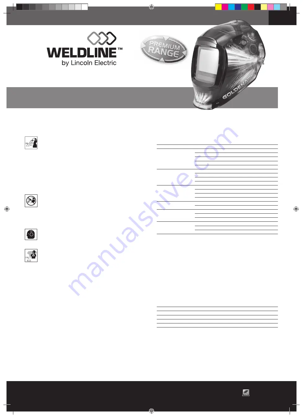 Lincoln Electric Weldline Goldenark LS Instructions For Safety, Use And Maintenance Download Page 31