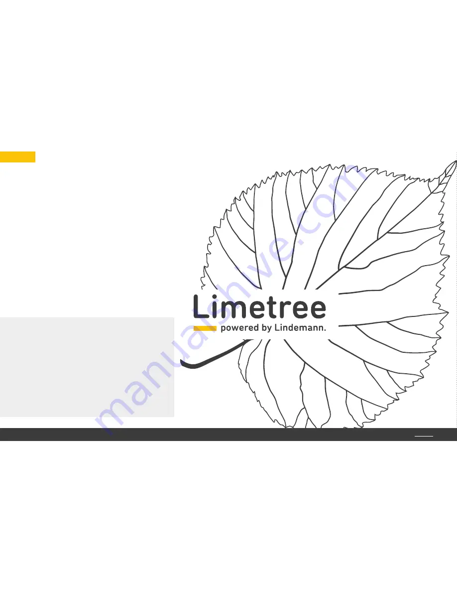 Lindemann Limetree Bridge Manual Download Page 4